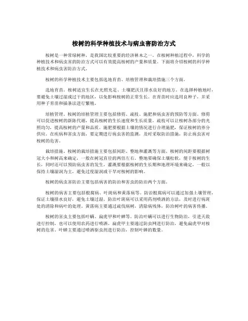 桉树的科学种植技术与病虫害防治方式
