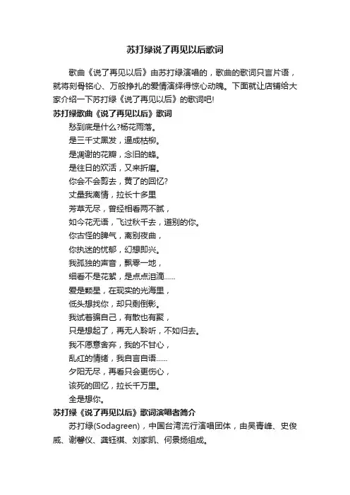 苏打绿说了再见以后歌词