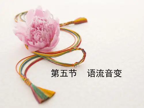 普通话口语 第五节 音变