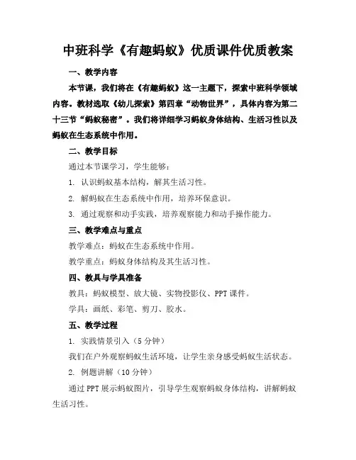 中班科学《有趣的蚂蚁》优质课件优质教案