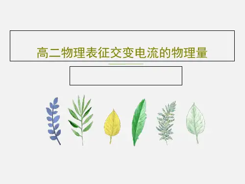 高二物理表征交变电流的物理量PPT17页