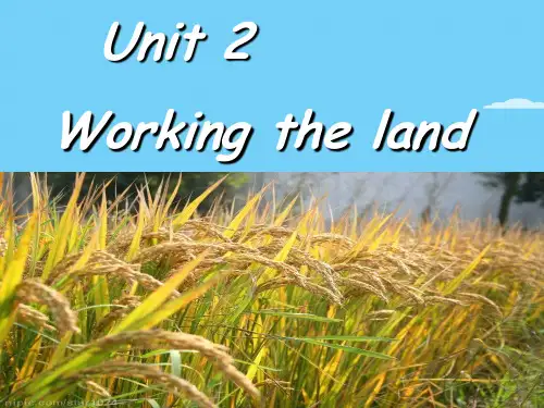 人教版高中英语必修模块4 unit 2 working the land 中的reading 部分 A pioneer for all people