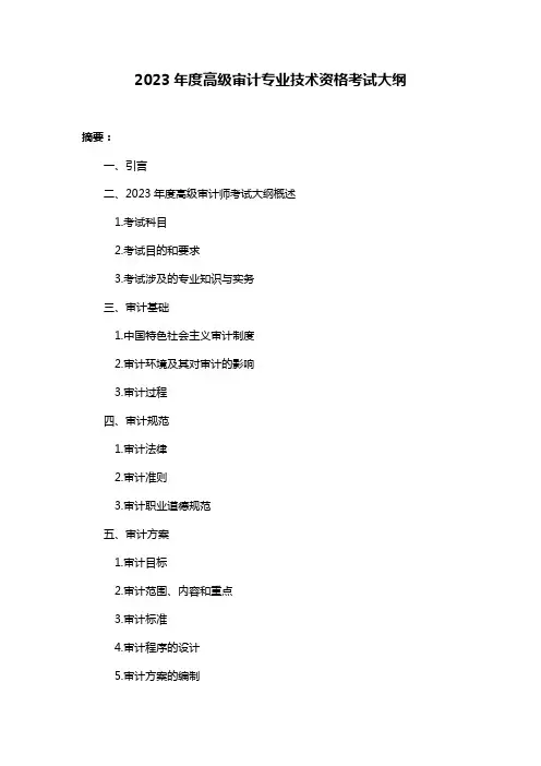 2023年度高级审计专业技术资格考试大纲