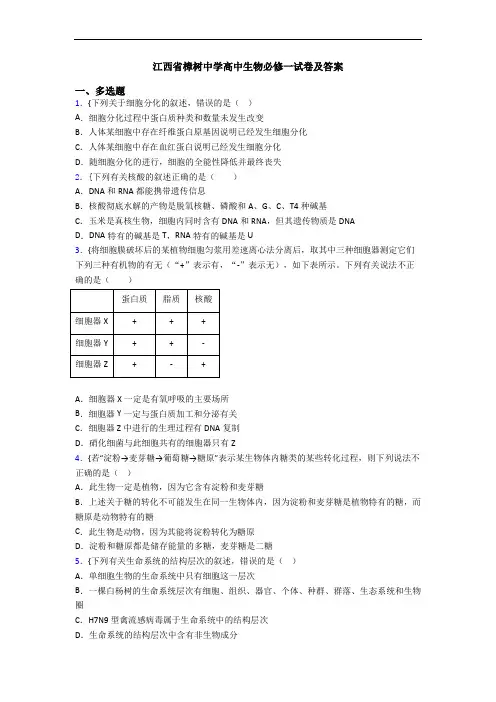 江西省樟树中学高中生物必修一试卷及答案