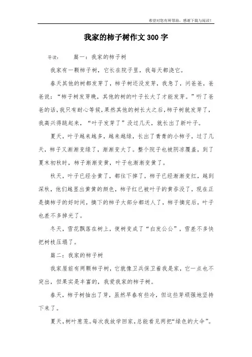 我家的柿子树作文300字