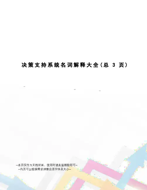 决策支持系统名词解释大全