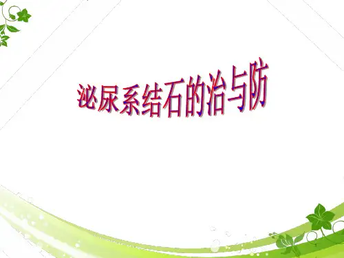 泌尿系结石健康教育  课件ppt课件