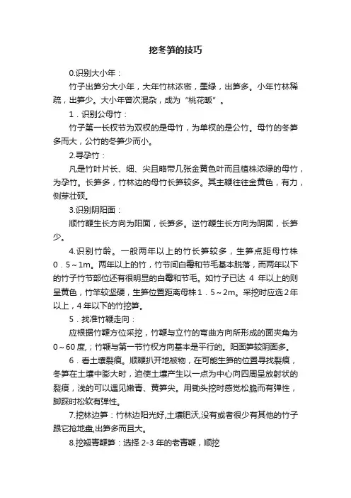 挖冬笋的技巧