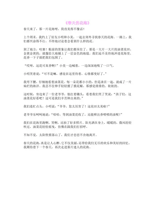 《春天的花海》