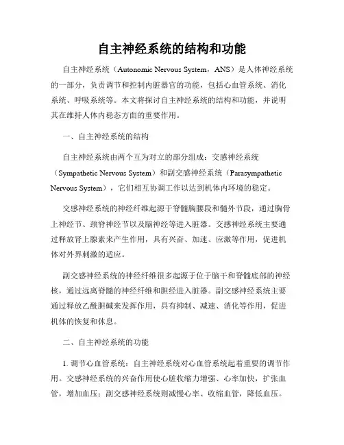自主神经系统的结构和功能