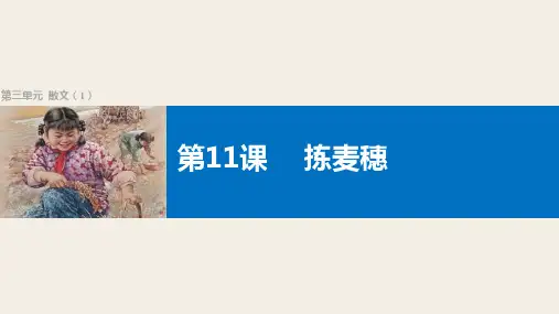 粤教版语文高一学案导学粤教版必修1课件 第11课拣麦穗