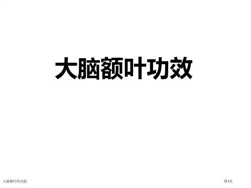 大脑额叶的功能