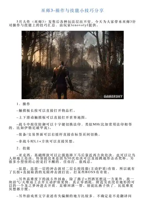 巫师3操作与技能小技巧分享