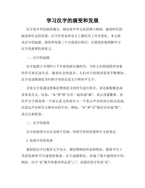 学习汉字的演变和发展