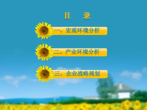 养老产业分析PPT课件