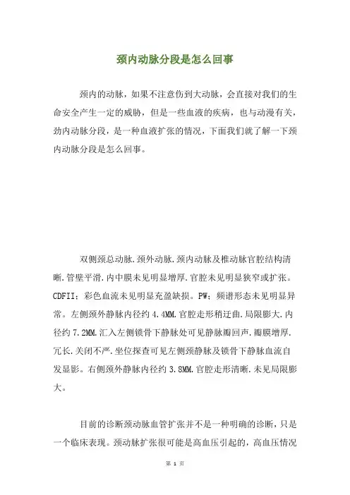 颈内动脉分段是怎么回事