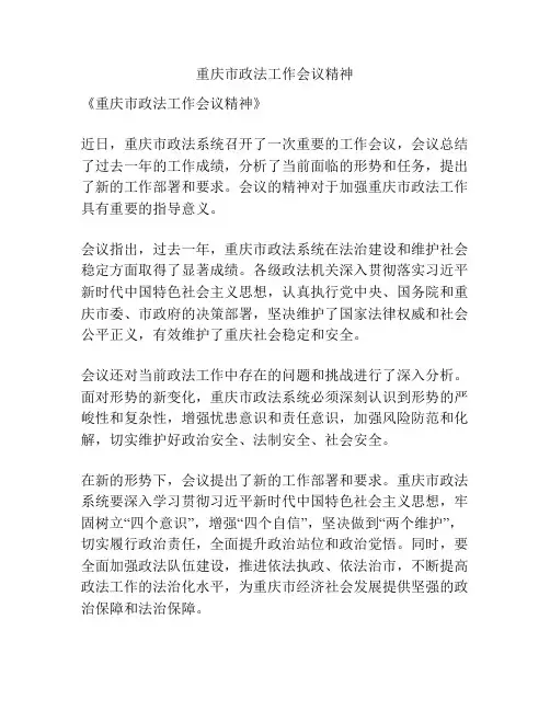 重庆市政法工作会议精神