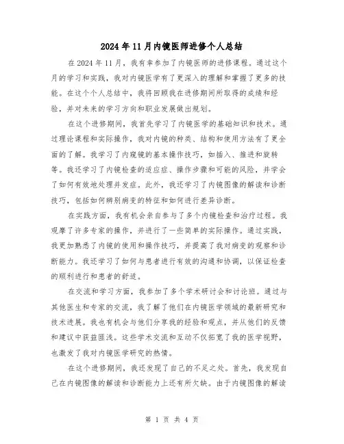 2024年11月内镜医师进修个人总结（2篇）