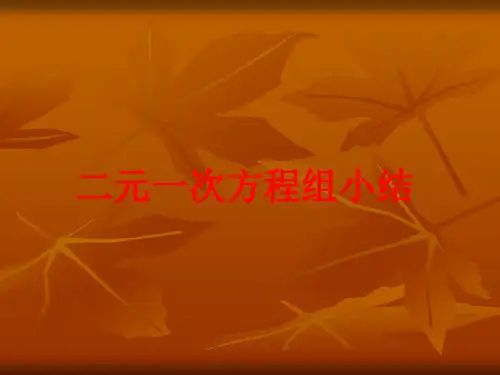 二元一次方程组小结