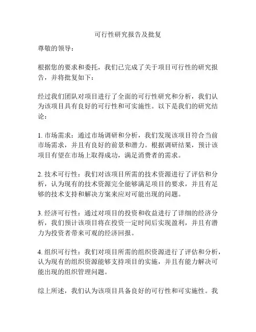 可行性研究报告及批复