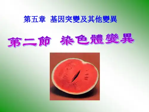 人教版高中生物课件-染色体变异