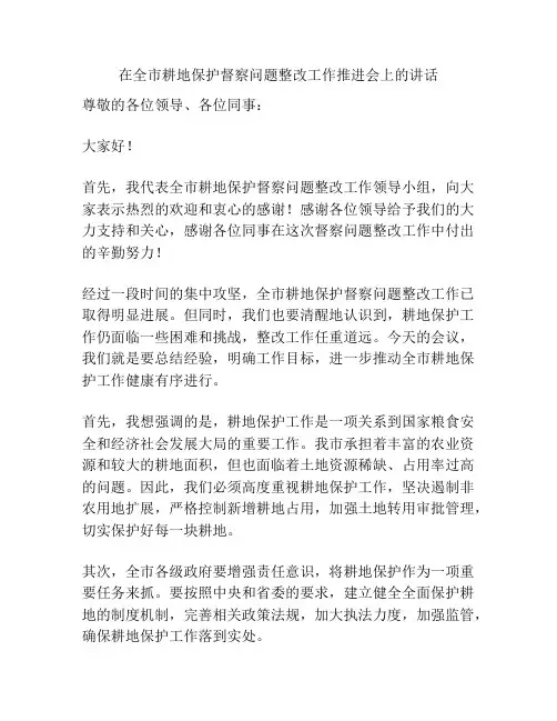 在全市耕地保护督察问题整改工作推进会上的讲话
