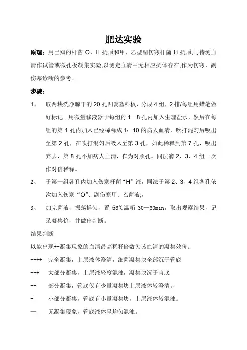 肥达试验