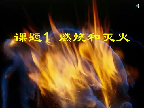 九年级化学课件PPT课件(21)