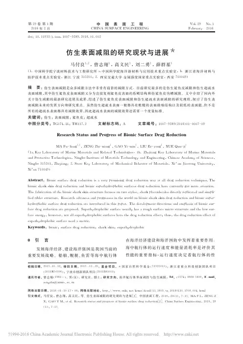仿生表面减阻的研究现状与进展_马付良