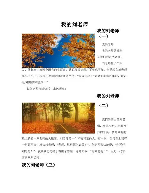 我的刘老师(共10篇)