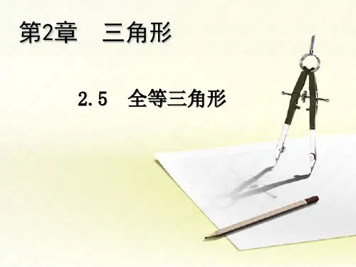 秋八年级数学上册湘教版教学课件：2.5 全等三角形(共13张PPT)