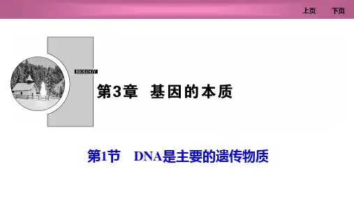 人教版高中生物必修二 DNA是主要的遗传物质 基因的本质课件