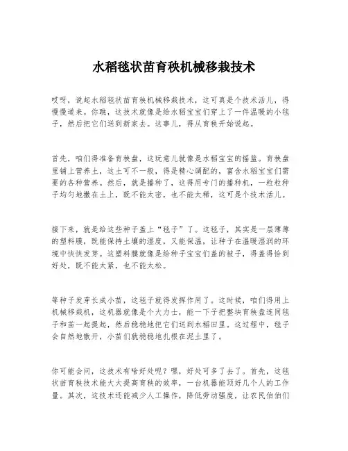 水稻毯状苗育秧机械移栽技术