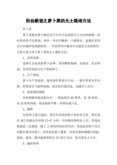 阳台新宠之萝卜菜的无土栽培方法