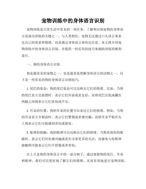 宠物训练中的身体语言识别