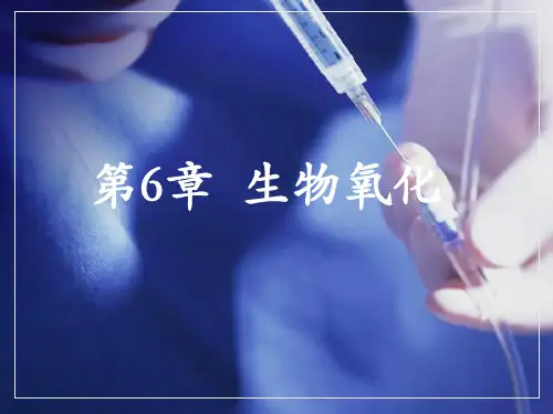 中职生物化学课件第6章