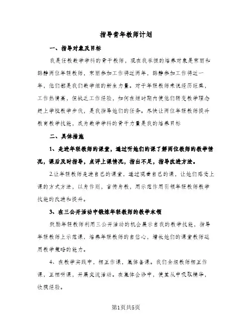 指导青年教师计划（2篇）