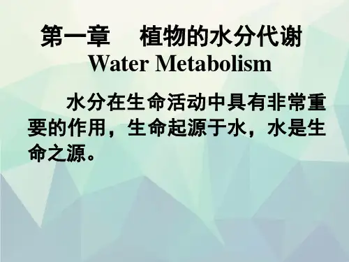 植物生理学第1章水分代谢