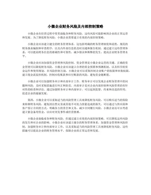 小微企业财务风险及内部控制策略