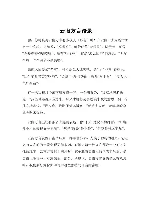 云南方言语录