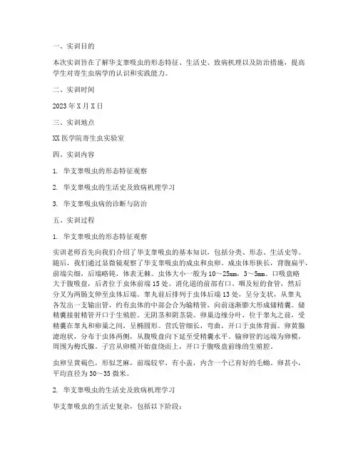 华支睾吸虫的实训报告