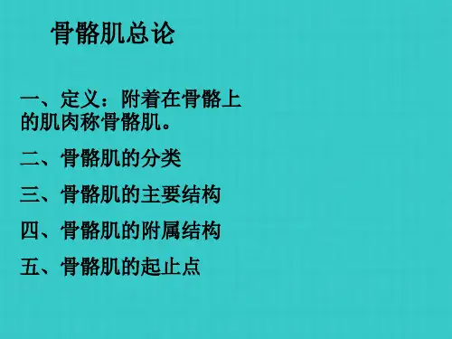 解剖学 第一章 运动系统肌学