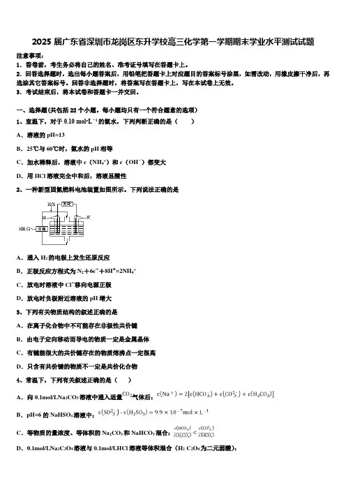 2025届广东省深圳市龙岗区东升学校高三化学第一学期期末学业水平测试试题含解析