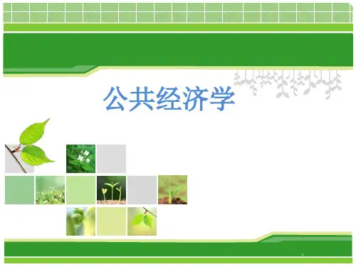 公共经济学课件可修改文字
