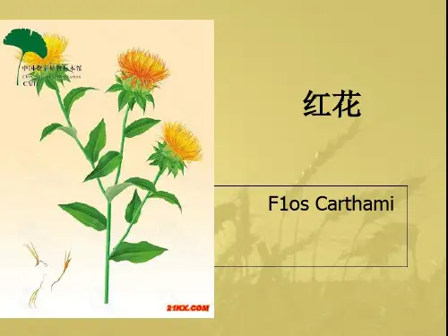 红花