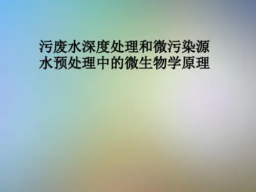 污废水深度处理和微污染源水预处理中的微生物学原理