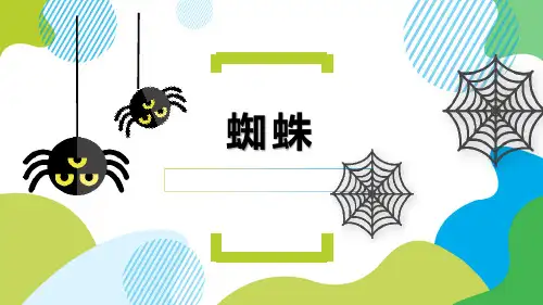 美术社团课程《蜘蛛》小学延时服务 课件(共16张PPT).ppt