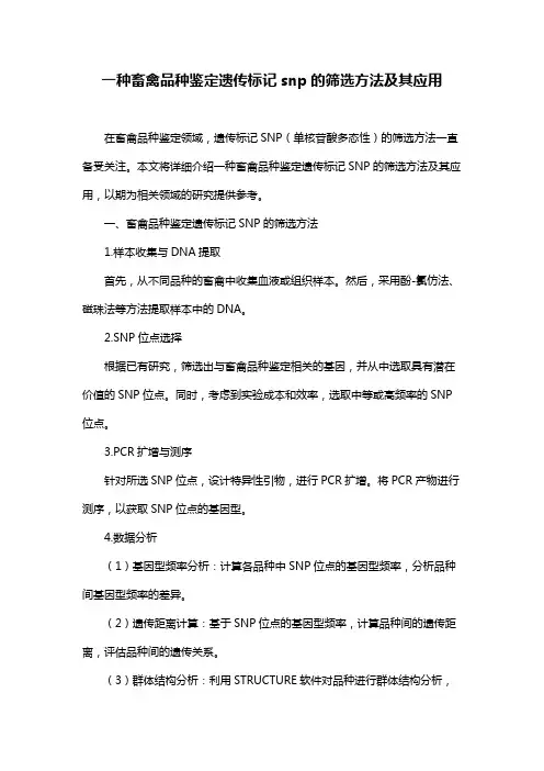 一种畜禽品种鉴定遗传标记snp的筛选方法及其应用
