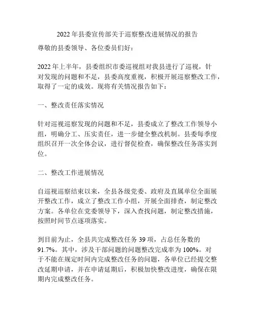 2022年县委宣传部关于巡察整改进展情况的报告