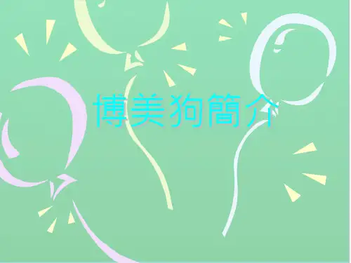 博美狗简介